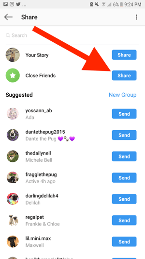 Too Many Dog Pics: How to Use Instagram Close Friends